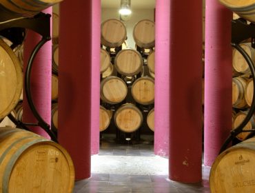 Wine Tours Cortona - Cortonaweb